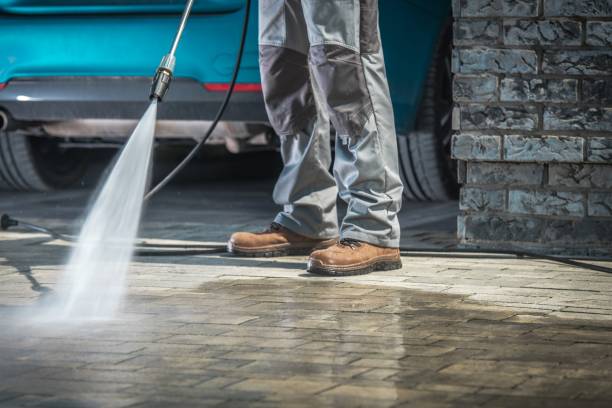 Best Pre-Holiday Cleaning  in Hawaiian Acres, HI
